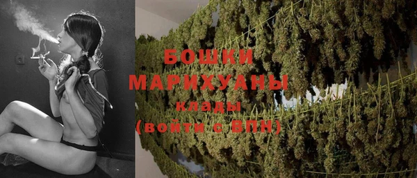хмурый Лиски