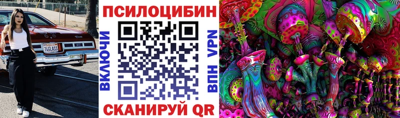 Галлюциногенные грибы Psilocybe  сколько стоит  площадка формула  Стародуб 